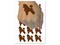 Miniature Poodle Dog with Heart Temporary Tattoo Water Resistant Fake Body Art Set Collection (1 Sheet)